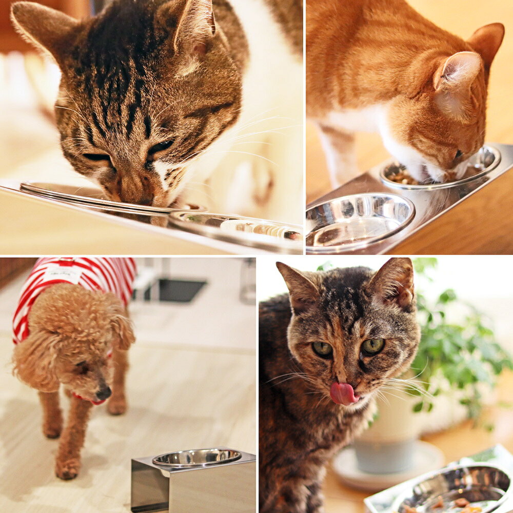 【ふるさと納税】ペットフードスタンド 猫用 食器台 ステンレス製 平行タイプ ステンレス食器皿 ダブルスタンド PT10-02B-2