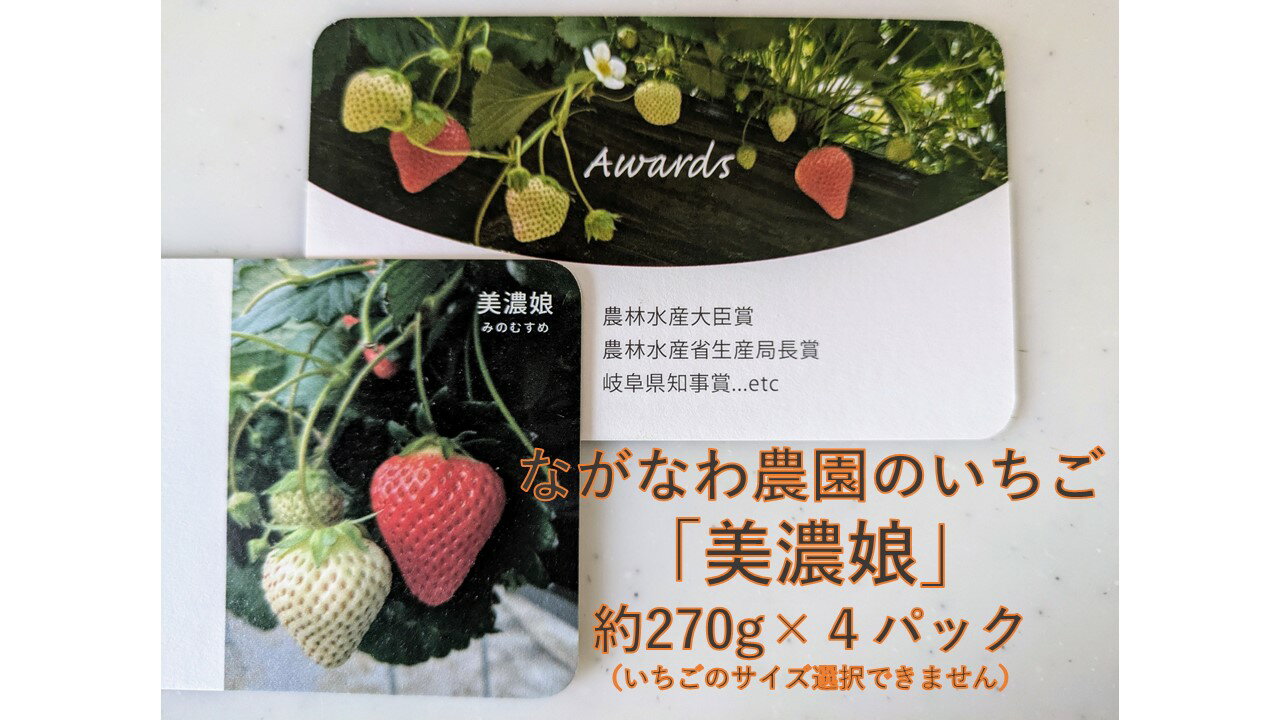 (予約)ながなわ農園のいちご「美濃娘」約270g×4パック