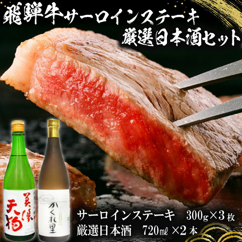 【ふるさと納税】5-1　飛騨牛サーロインステーキ300g×
