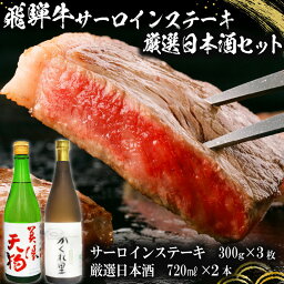 【ふるさと納税】5-1　飛騨牛サーロインステーキ300g×3枚　+　厳選日本酒720ml×2本