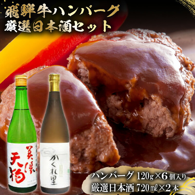 【ふるさと納税】5-7 飛騨牛 ハンバーグ120g 6個入り + 厳選日本酒720ml 2本