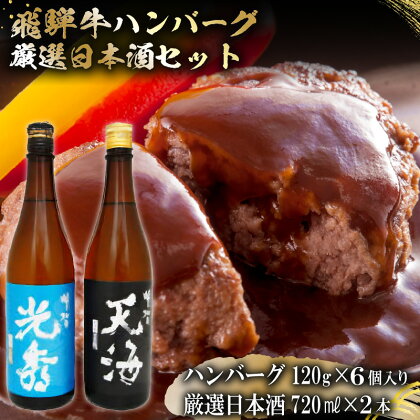 6-7　飛騨牛 ハンバーグ120g×6個入り　+　厳選日本酒720ml×2本