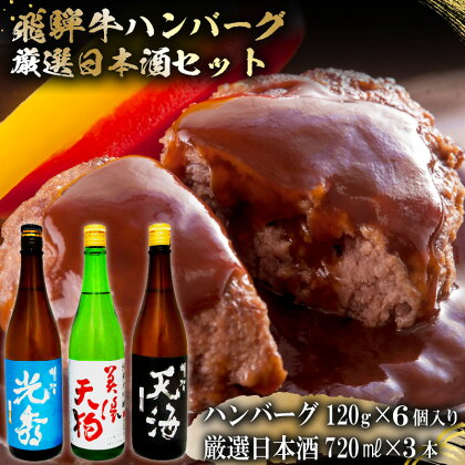 7-7　飛騨牛 ハンバーグ120g×6個入り　+　厳選日本酒720ml×3本