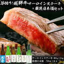 9-1　厚切り！飛騨牛サーロインステーキ300g×3枚　+　厳選日本酒720ml×6本