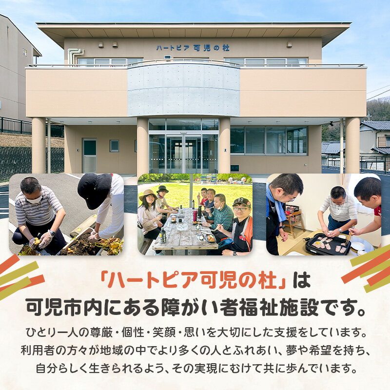【ふるさと納税】 【思いやり型返礼品】 障がい者福祉施設 ハートピア可児の杜の「うどんかりんとう」プレーン＋選べるフレーバー　2種セット 岐阜県 可児市 お菓子 和菓子 うどん かりんとう おやつ ゆず ラズベリー シナモン プレーン お取り寄せ グルメ 送料無料