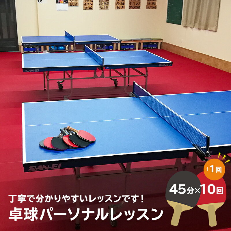 【ふるさと納税】卓球パーソナルレッスン 45分×11回 岐阜県 可児市 スポーツ レッスン 体験 回数券 パーソナル 初心…