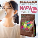【ふるさと納税】 【お届け回数が選べる】 DAILY BASIC+ WPI チョコレート 岐阜県 可児市 プロテイン タンパク質 低糖質 低脂質 健康食品 美容食品 溶けやすい ダイエット 甘すぎない 高タンパク質 お取り寄せ 送料無料