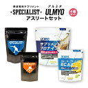 【ふるさと納税】アスリートセット(サプリメント4種) 岐阜県 可児市 サプリメント プロテイン BCAA コーヒー アルミオ タンパク質 アミノ酸 乳酸菌 ビタ...
