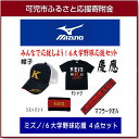 【ふるさと納税】ミズノ 東京6大学野球応援グッズ 4点セット...