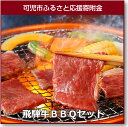 【ふるさと納税】飛騨牛BBQセット