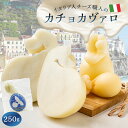 18位! 口コミ数「0件」評価「0」カチョカヴァロ Caciocavallo 250g 岐阜県 可児市 しぼりたて 高品質 生乳 熟成 セミハードチーズ 優しい食感 ミルク 風･･･ 