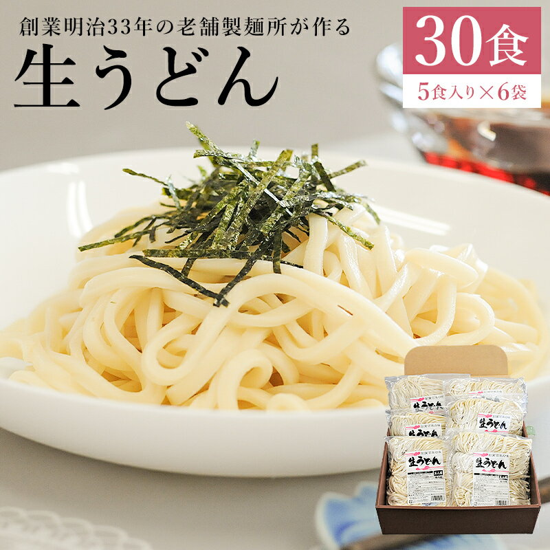 うどん 老舗製麺所が作る生うどん 30食 5食入り×6袋 添加物ひかえめ 送料無料