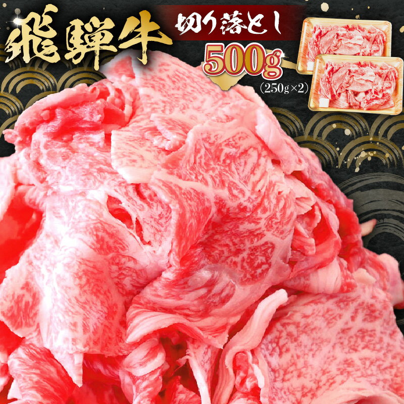 【ふるさと納税】 飛騨牛 切り落とし 500g（250g×2