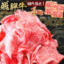 38位! 口コミ数「1件」評価「4」飛騨牛切り落とし1kg（250g×4） 牛肉 カレー シチュー 牛丼 肉じゃが 牛しぐれ煮 炒め物 食品 肉 国産 和牛 ブランド牛 ブラン･･･ 