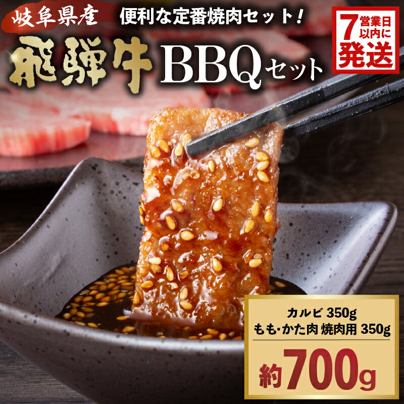 飛騨牛BBQセット カルビ350g もも かた肉 焼き肉用350g 岐阜県 可児市 肉 お肉 ブランド ブランド牛 バーベキュー 詰め合わせ お取り寄せ グルメ 送料無料