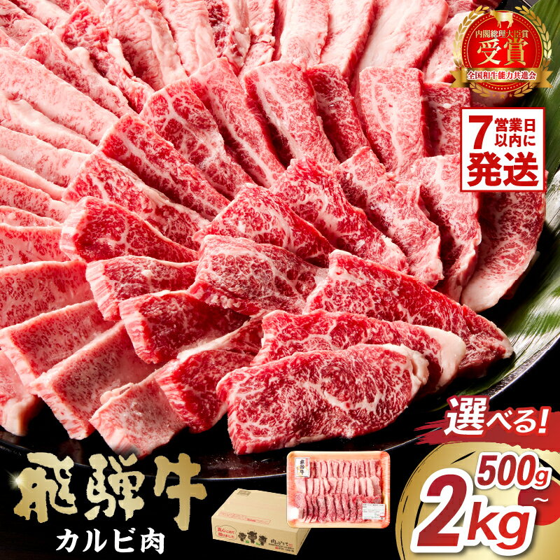 【ふるさと納税】 【容量が選べる】飛騨牛　カルビ 焼肉 肉 牛肉 カルビ 焼肉用 まとめ買い おうち焼肉..