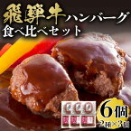 【ふるさと納税】＼レビューキャンペーン／ 飛騨牛 ハンバーグ 食べ比べ セット 牛肉 国産 食品 煮込みハンバーグ 和牛ハンバーグ ギフト 惣菜 個包装 小分け 詰め合わせ お弁当 ご当地グルメ グルメ 簡単 料理 湯せん調理 ブランド牛 岐阜県 生ハンバーグ 国産牛 送料無料