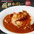 【ふるさと納税】 飛騨牛カレーセット 岐阜県 可児市 レンジ 湯煎調理 簡単調理 お手軽 煮込む 旨味 辛味 まろやか 甘味 レトルト ブランド牛 カレーライス レトルトカレー 牛肉 野菜 中辛 常温 食べ応え 備蓄 送料無料