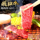 8位! 口コミ数「1件」評価「4」 飛騨牛 焼肉用（肩ロース700g） 岐阜県 可児市 お肉 肉 牛肉 焼肉 和牛 ブランド牛 ブランド和牛 柔らかい 濃厚 赤身肉 霜降り ･･･ 