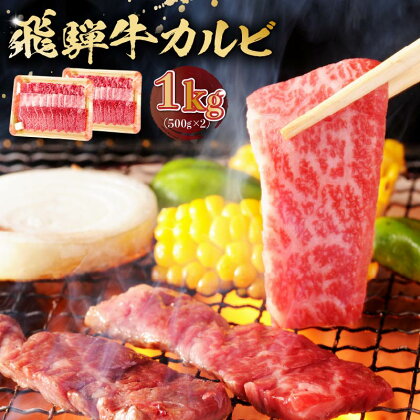 飛騨牛 カルビ 1kg （500g×2）焼肉 肉 牛肉 カルビ 焼肉用 合計1kg 1キロ まとめ買い おうち焼肉 BBQ バーベキュー 肉 花見 和牛 国産牛 黒毛和牛 送料無料