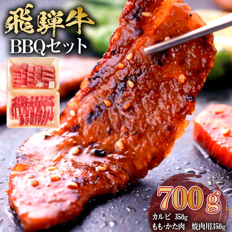 【ふるさと納税】飛騨牛BBQセット（カルビ350g、もも・か