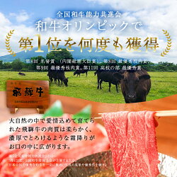 【ふるさと納税】飛騨牛 ステーキ 食べ比べ セット 定期便※3回に分けてのお届けとなります。 岐阜県 可児市 肉 牛肉 国産 ブランド 和牛 黒毛和牛 リブロース ヒレ サーロイン 甘味 旨味 冷凍 送料無料･･･ 画像1