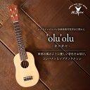 【ふるさと納税】 ヤイリギター 'olu'olu -オルオル- 岐阜県 可児市 世界のヤイリ 楽器 演奏 Yairi ブランド ギター ソフトケース付き 弦楽器...