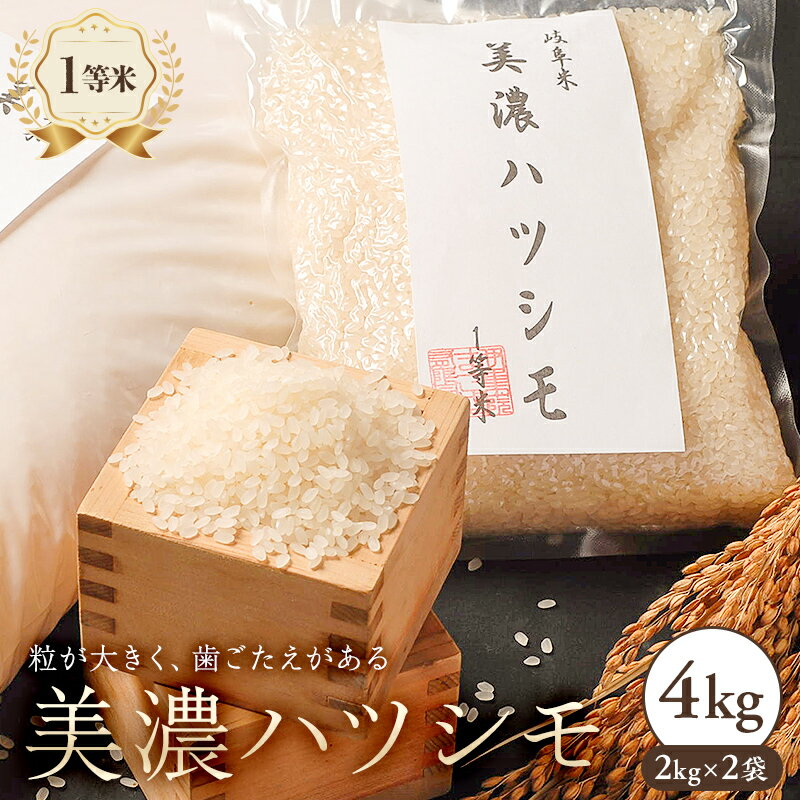 美濃ハツシモ　1等米（2kg×2袋）