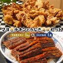 【ふるさと納税】「マヨ唐チキン」と「炭かおる地焼き　うなぎ蒲焼（たれ付）」のセット