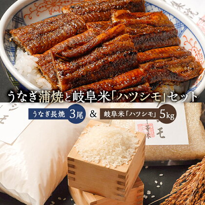 炭かおる地焼き　うなぎ蒲焼（たれ付）3尾　と　岐阜米ハツシモ1等米5kg　のセット