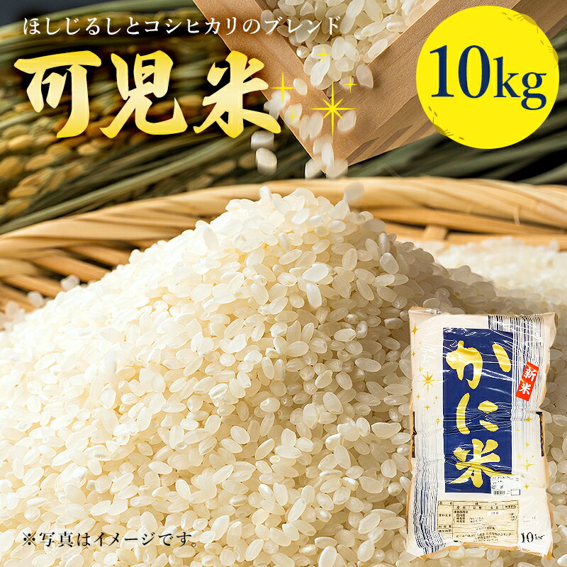 可児米 ほしじるしとコシヒカリのブレンド 10kg 岐阜県 可児市 お米 米 ブレンド米 ご飯 白飯 おにぎり チャーハン しっかりした粒 食品 朝ご飯 お昼ご飯 夜ご飯 お取り寄せ グルメ 送料無料