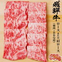 【ふるさと納税】 飛騨牛 ロース または 肩ロース 600g 焼肉 BBQ 岐阜県 可児市 肉 牛肉 和牛 ブランド牛 国産 霜降り 柔らか 旨み 冷..