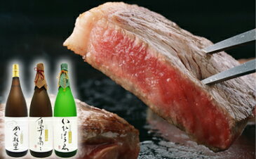 【ふるさと納税】2-1 厚切り!飛騨牛サーロインステーキ300g×3枚 + 厳選日本酒1.8L×3本