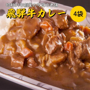 【ふるさと納税】飛騨牛 カレー セット 220g×4袋 レトルトカレー 化粧箱入 送料無料