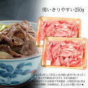 【ふるさと納税】飛騨牛切り落とし500g(250g×2)