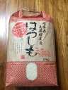 【ふるさと納税《岐阜県山県市》】C-010 美濃桜尾産 29...
