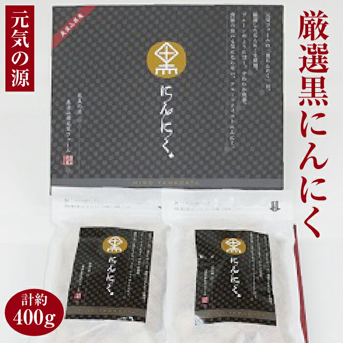 元気の源　厳選黒にんにく 計約400g [No.047] ／ ニンニク 健康 栄養 美容 送料無料 岐阜県 特産