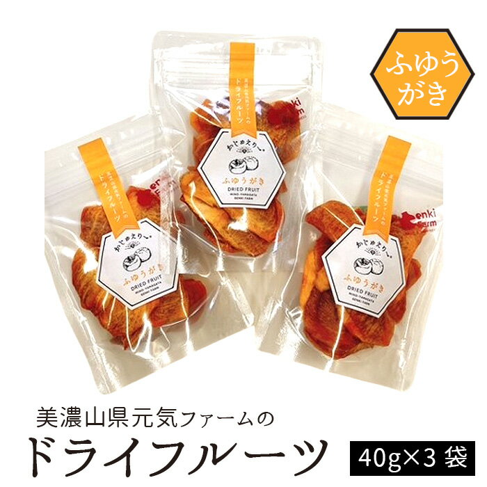 美濃山県元気ファームのドライフルーツかじゅえりー ふゆうがき [No.1100] / 甘柿 柿 凝縮 甘味 ドライフルーツ かき 送料無料 岐阜県