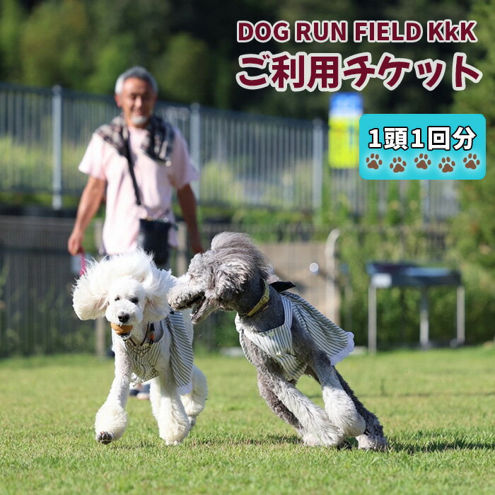 DOG RUN FIELD KkK ご利用チケット [No.909] / ドッグ 犬 ドッグラン 券 送料無料 岐阜県
