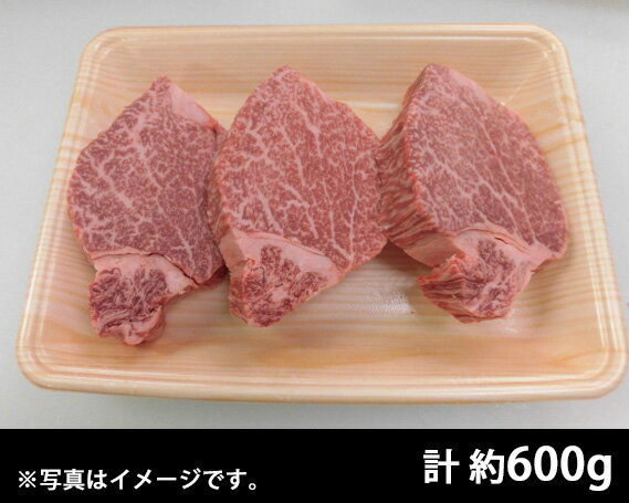 【ふるさと納税】No.106 飛騨牛ヒレステーキ用計約600g　（5等級）／冷凍 ／ 牛肉 ブランド牛 岐阜県 特産