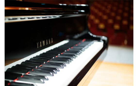 【ふるさと納税】ピアノ演奏体験 文化の里花咲きホール半日使用 [No.396] ／ チケット ステージ 送料無料 岐阜県 2