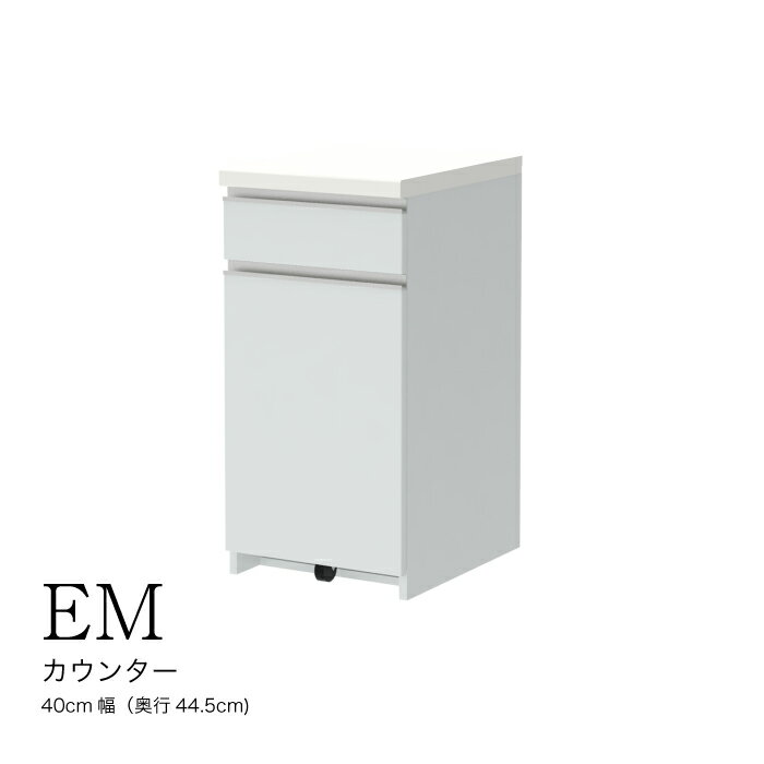 【ふるさと納税】食器棚 カップボード 組立設置 EMA-S4