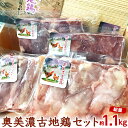 12位! 口コミ数「0件」評価「0」奥美濃古地鶏セット計約1.1kg [No.006] ／ 鶏肉 モモ肉 手羽先 手羽なか 詰合せ 送料無料 岐阜県 特産