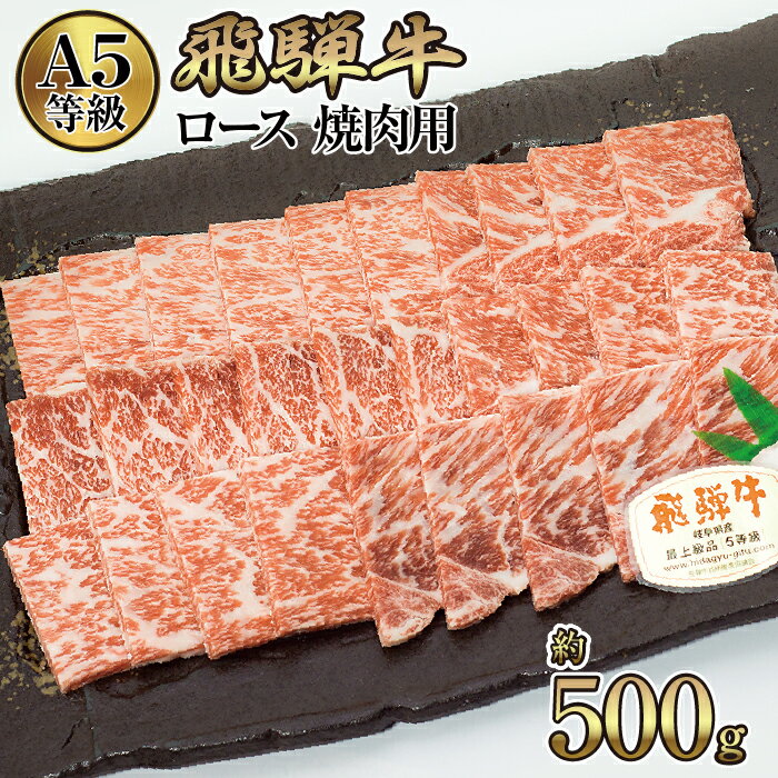 店主こだわり雌牛 飛騨牛A5等級　ロース　焼肉用　約500g [No.038] ／ 牛肉 ブランド牛 やきにく メス牛 冷凍 送料無料 岐阜県 特産