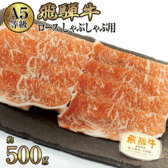 店主こだわり雌牛 飛騨牛A5等級　ロース　しゃぶしゃぶ用　約500g [No.039] ／ 牛肉 ブランド牛 鍋 メス牛 冷凍 送料無料 岐阜県 特産