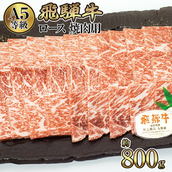 店主こだわり雌牛 飛騨牛A5等級　ロース　焼肉用　約800g [No.065] ／ 牛肉 ブランド牛 やきにく メス牛 冷凍 送料無料 岐阜県 特産