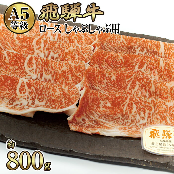 店主こだわり雌牛 飛騨牛A5等級　ロース　しゃぶしゃぶ用　約800g [No.067] ／ 牛肉 ブランド牛 鍋 メス牛 冷凍 送料無料 岐阜県 特産