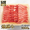 飛騨牛バラ焼き肉用　計約500g（5等級／冷凍）  ／ 牛肉 ブランド牛 ばら 焼肉 やきにく 送料無料 岐阜県 特産