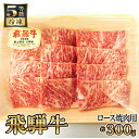 20位! 口コミ数「0件」評価「0」飛騨牛ロース焼肉用 約300g（5等級/冷凍） [No.214] ／ ブランド牛 牛肉 BBQ 送料無料 岐阜県 特産品