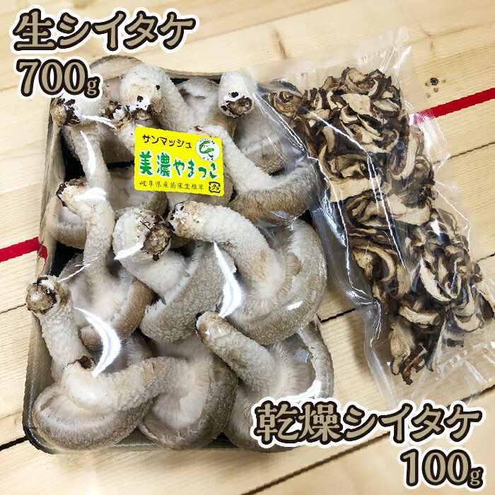 【ふるさと納税】【山県しいたけ】生シイタケ（700g）と乾燥シイタケ（100g） [No.229] ／ きのこ キノコ 生しいたけ 生椎茸 送料無料 岐阜県